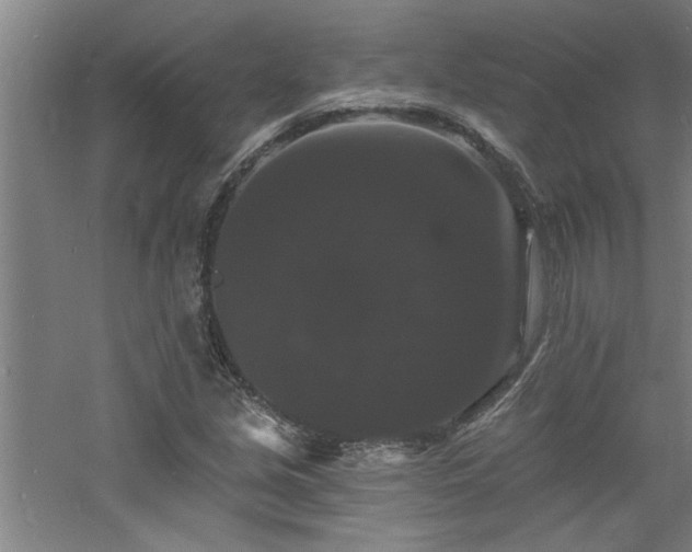 X0000060791213200511101409