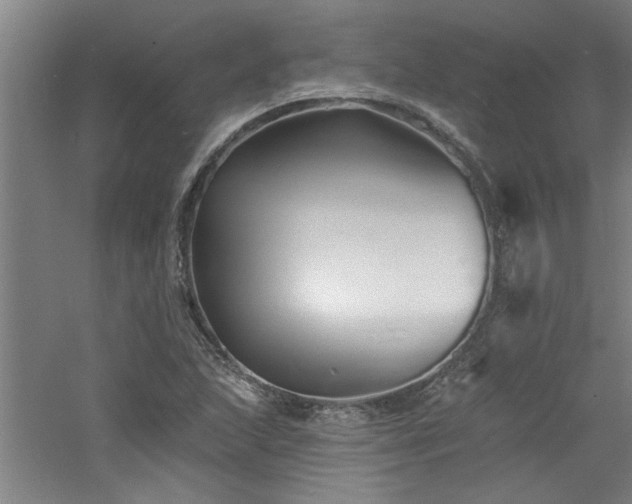 X0000060791215200511101409