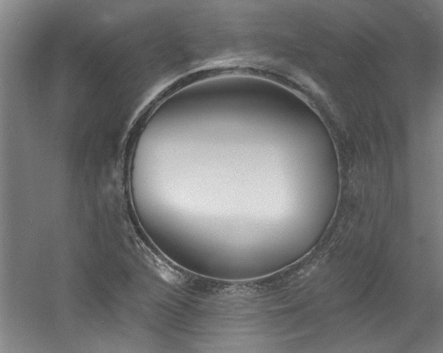 X0000060791216200511101409