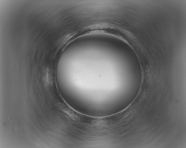 X0000060791217200511101409