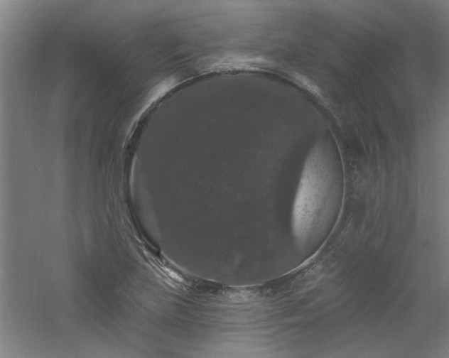 X0000060791219200511101409