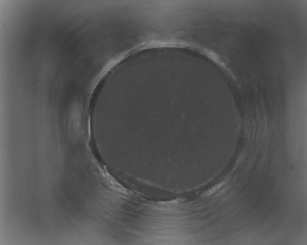 X0000060791221200511101409