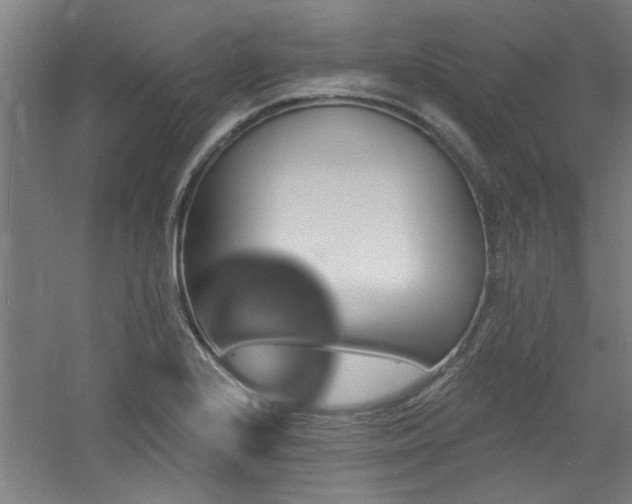 X0000060791224200511101410