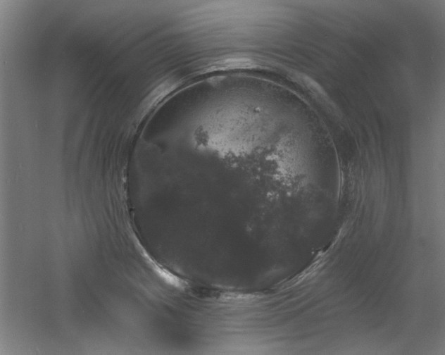 X0000060791225200511101410