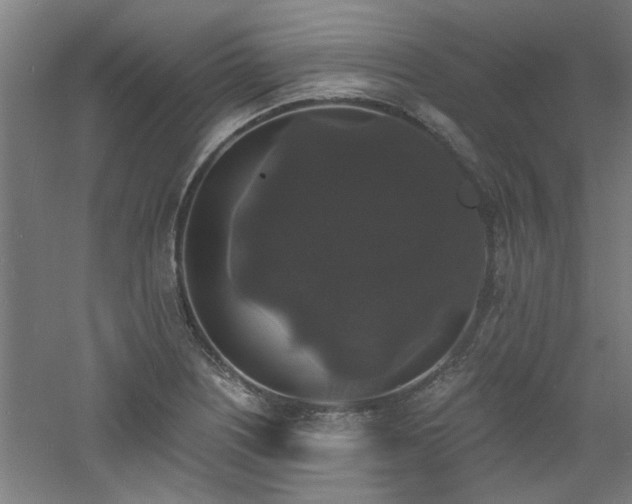 X0000060791226200511101410