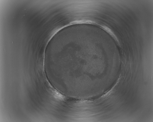 X0000060791228200511101410