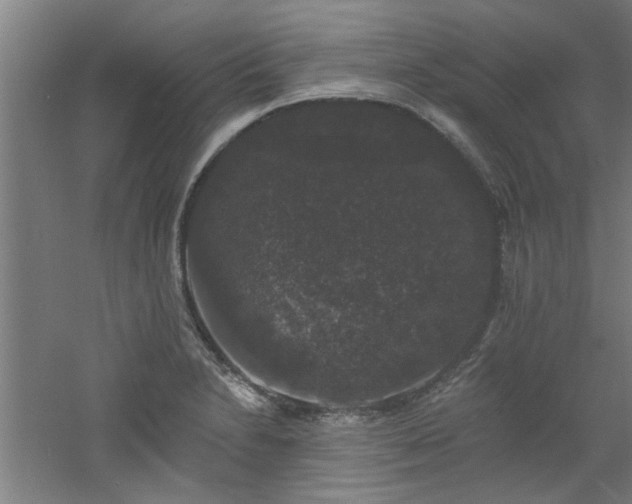 X0000060791230200511101410