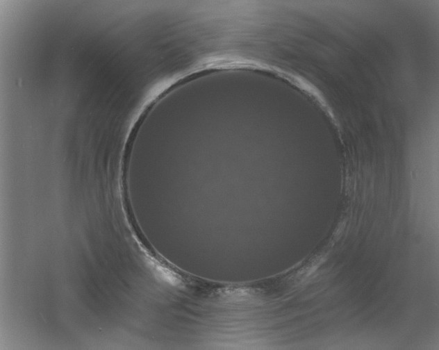 X0000060791231200511101410