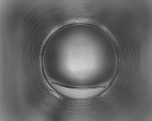 X0000060791232200511101410