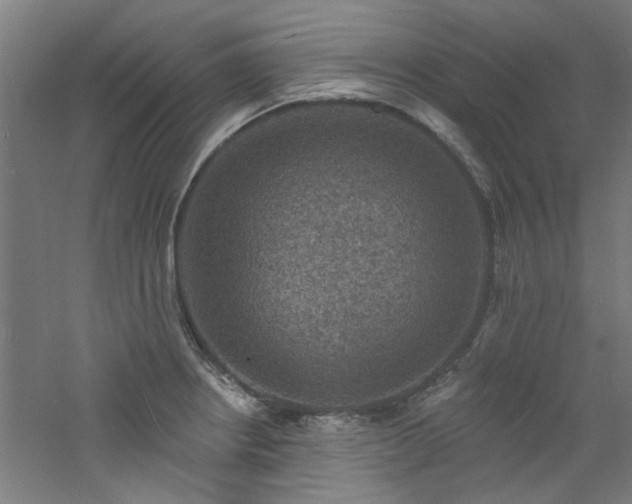 X0000060791234200511101410