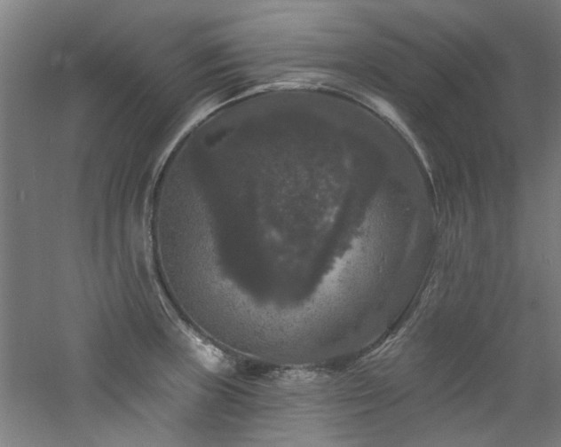 X0000060791235200511101410