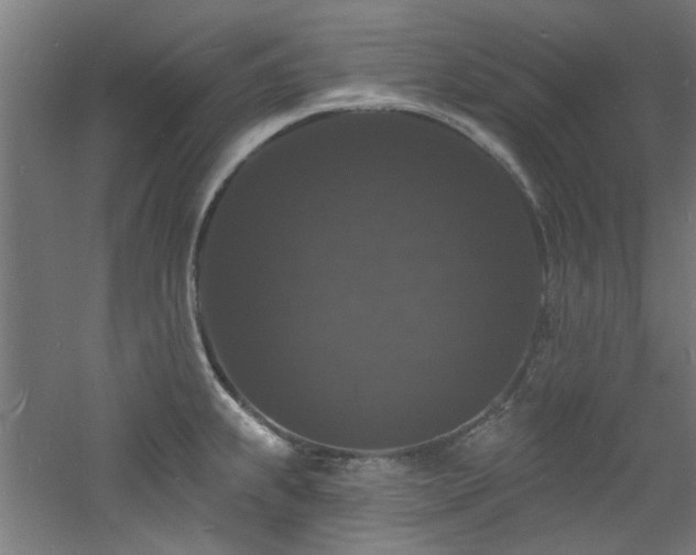 X0000060791239200511101410