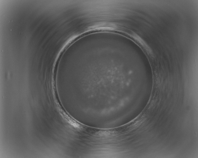 X0000060791240200511101410