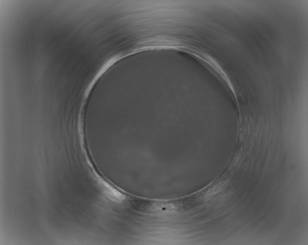 X0000060791243200511101410