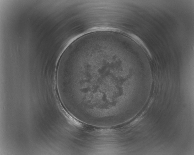 X0000060791244200511101410