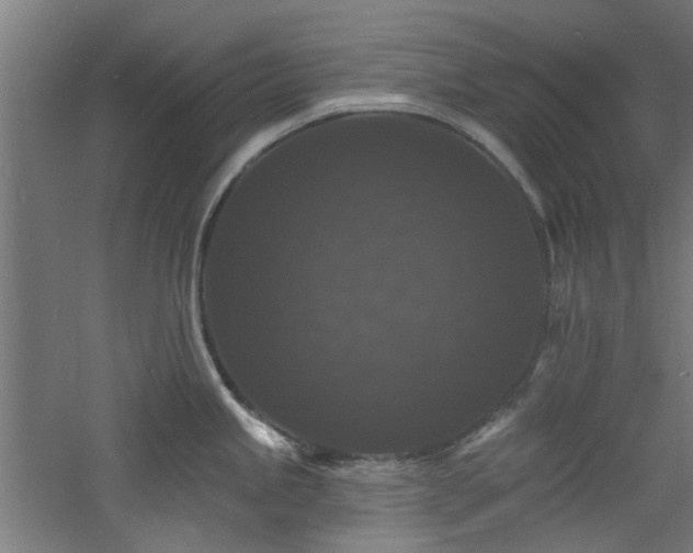 X0000060791245200511101410