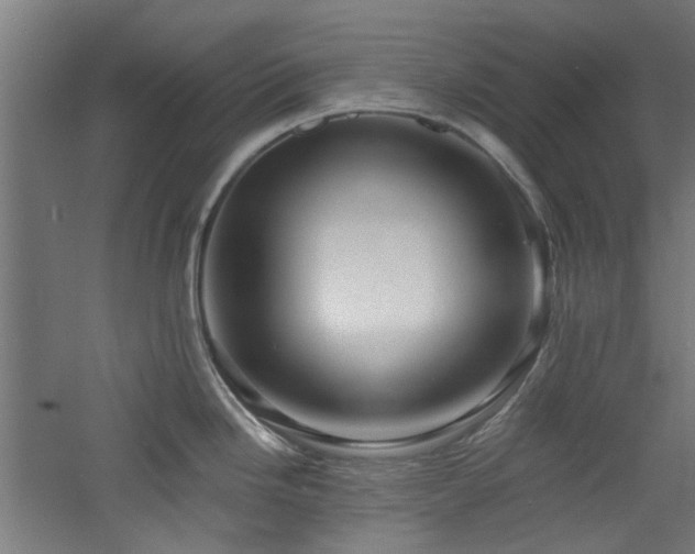 X0000060791246200511101410