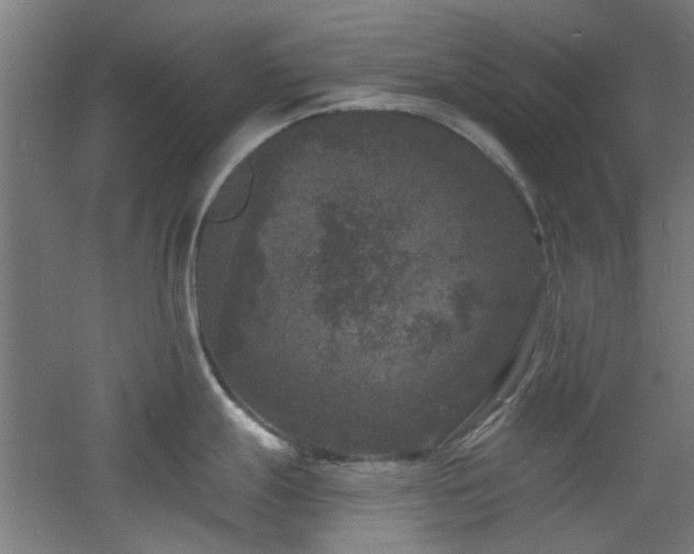 X0000060791247200511101410