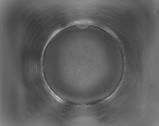 X0000060791248200511101410