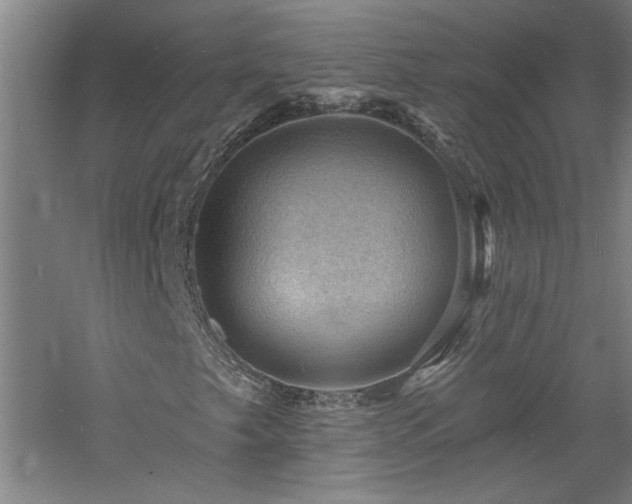 X0000060791249200511101409