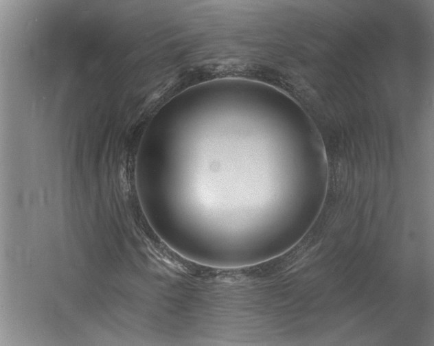 X0000060791250200511101409