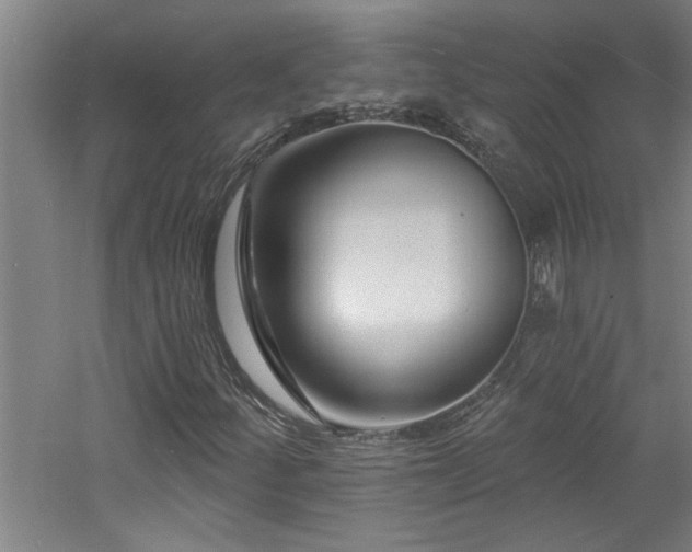 X0000060791252200511101409