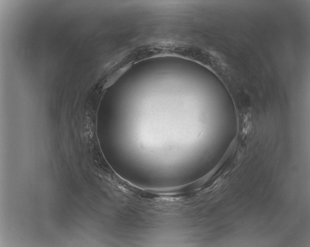 X0000060791253200511101409