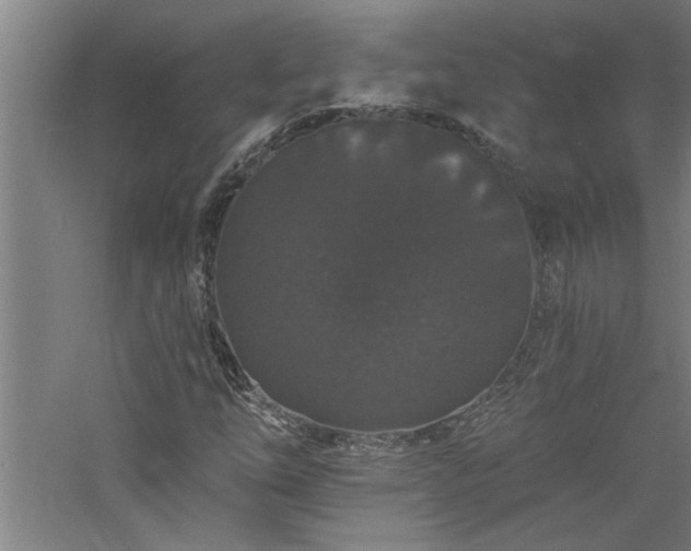 X0000060791254200511101409