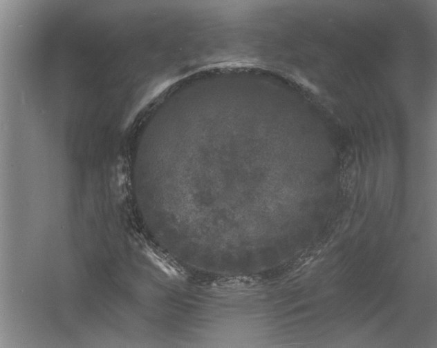 X0000060791255200511101409