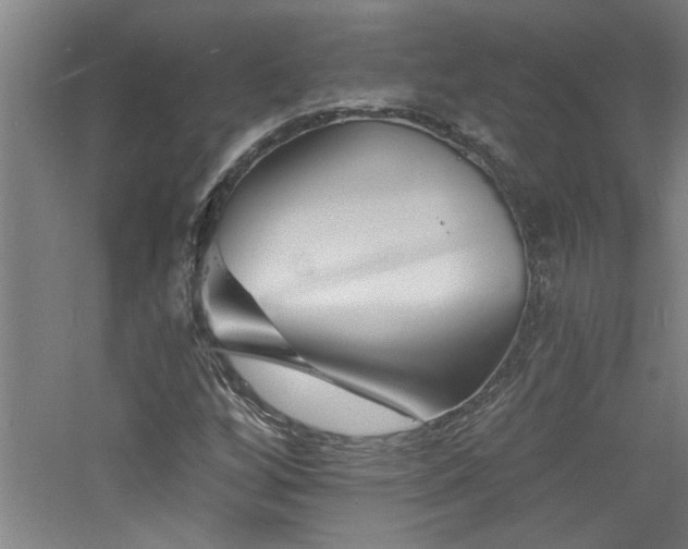 X0000060791256200511101409