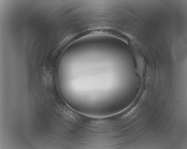 X0000060791257200511101409