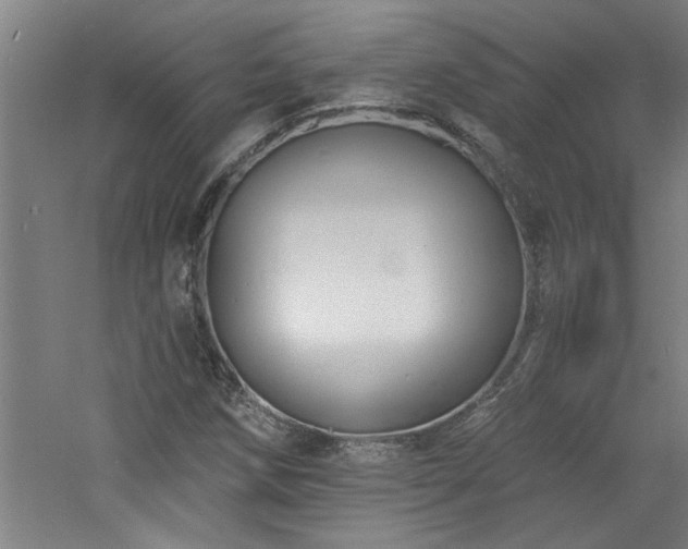 X0000060791258200511101409