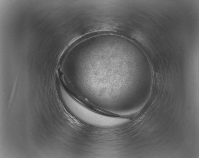 X0000060791260200511101409