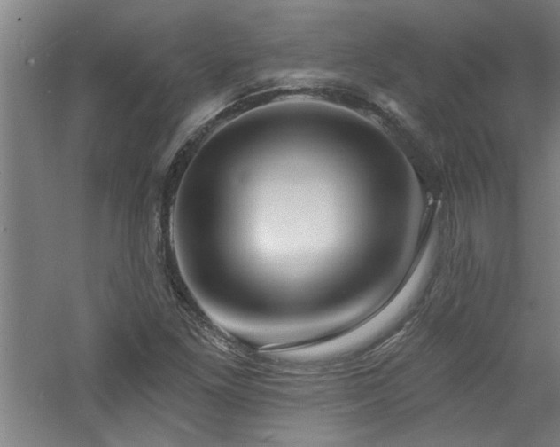 X0000060791261200511101409