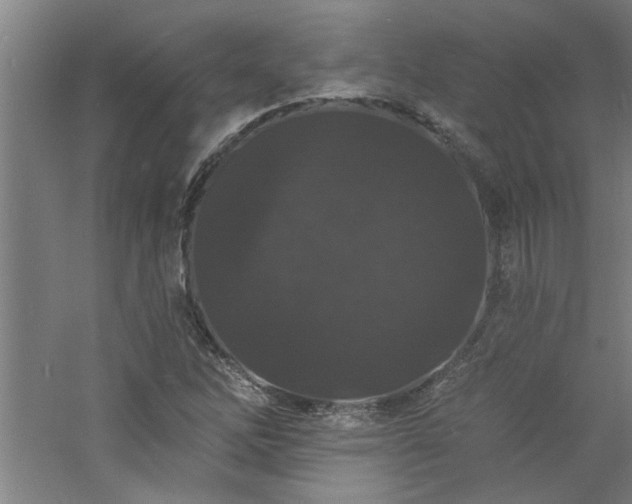 X0000060791262200511101409