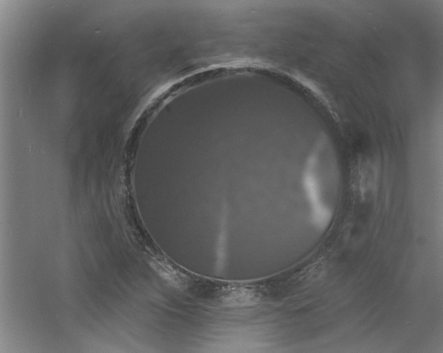 X0000060791263200511101409