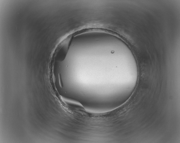 X0000060791264200511101409