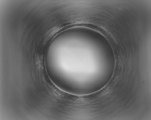 X0000060791265200511101409