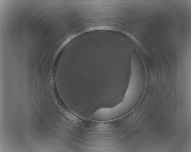 X0000060791266200511101409