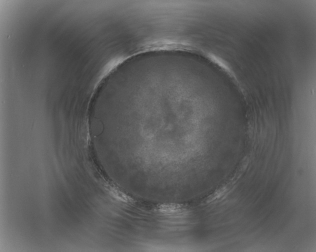 X0000060791267200511101409