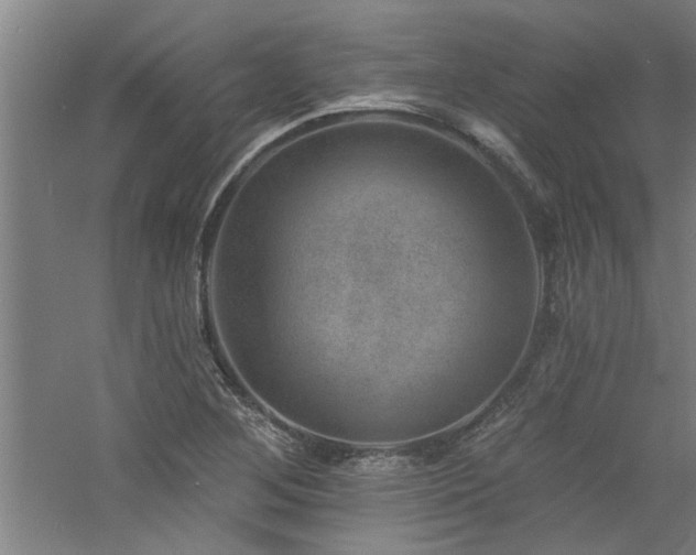 X0000060791268200511101409