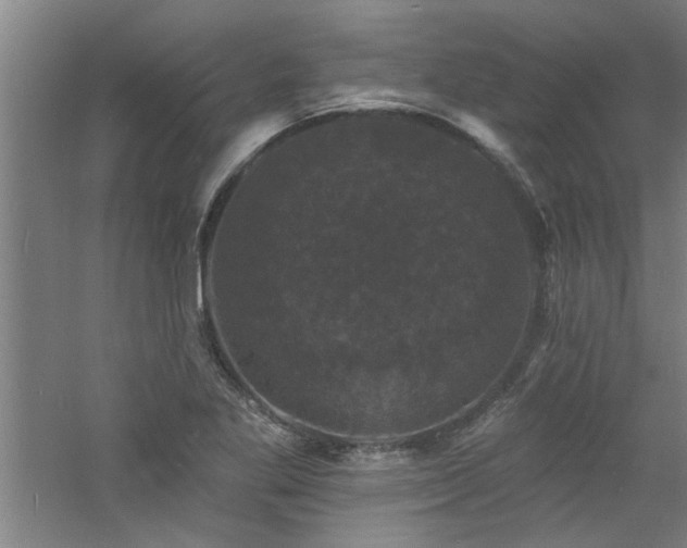 X0000060791269200511101409