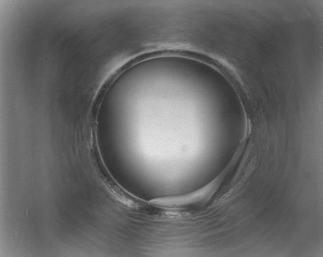 X0000060791271200511101409