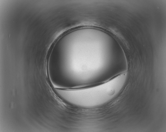 X0000060791272200511101409