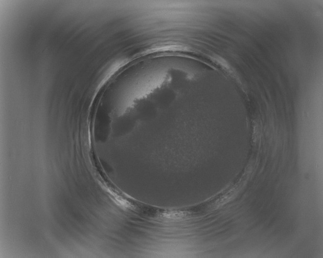 X0000060791274200511101409