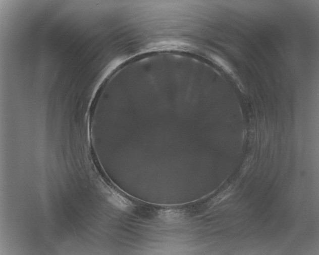 X0000060791275200511101408