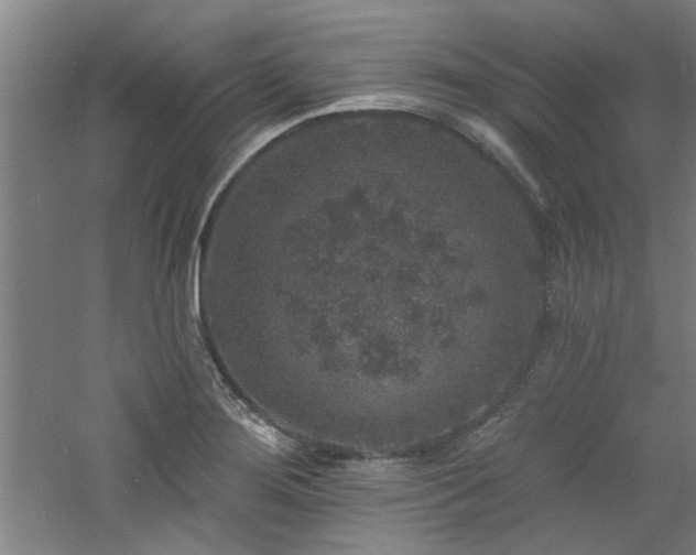 X0000060791276200511101408