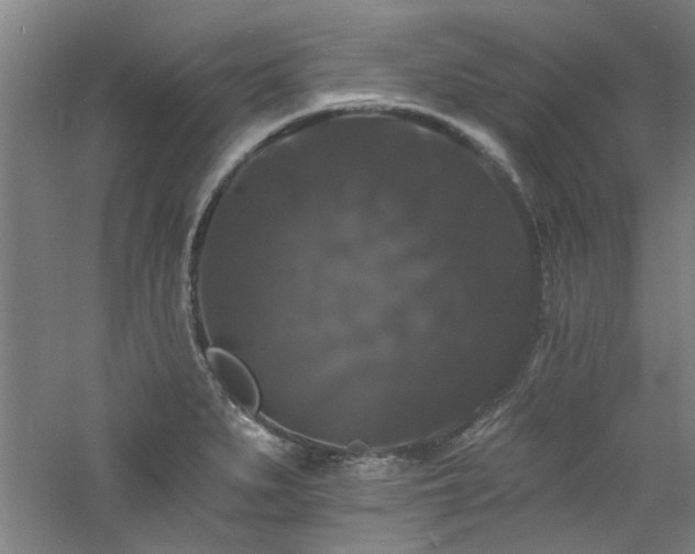 X0000060791279200511101408