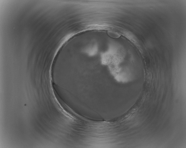 X0000060791283200511101408