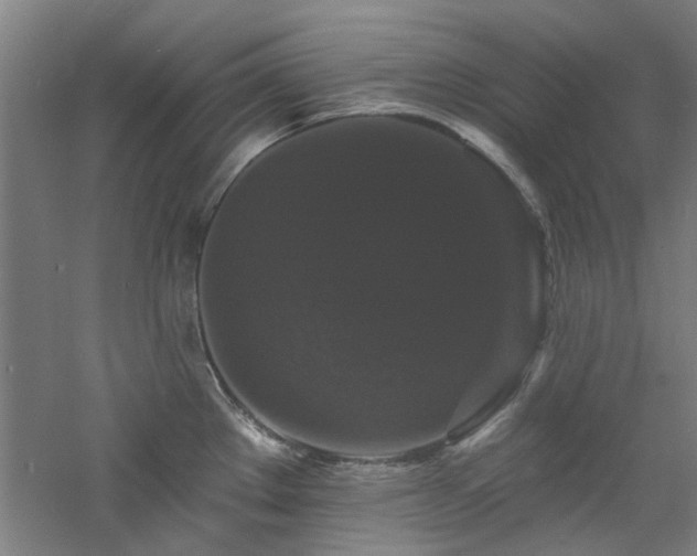 X0000060791289200511101408